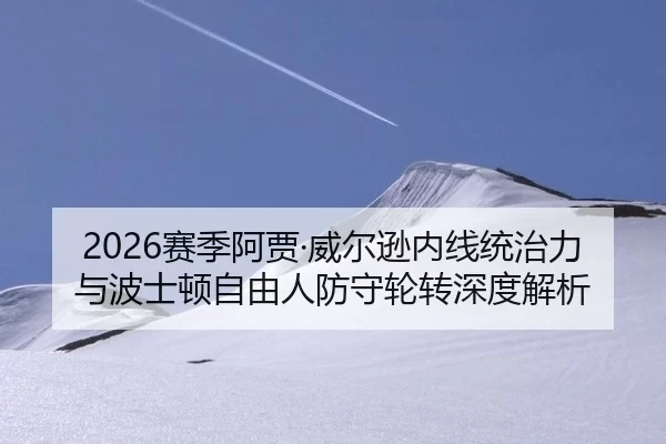 2026赛季阿贾·威尔逊内线统治力与波士顿自由人防守轮转深度解析